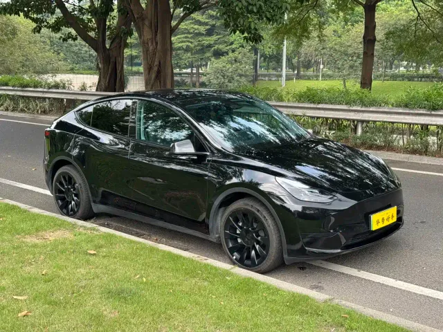 Tesla Model Y — Фото автомобиля 6