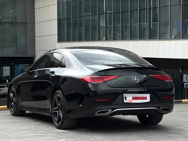 Mercedes-Benz CLS-Class — Фото автомобиля 8