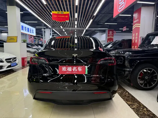 Tesla Model Y — Фото автомобиля 10