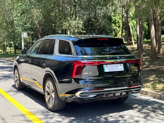 Hongqi E-HS9 — Фото автомобиля 13