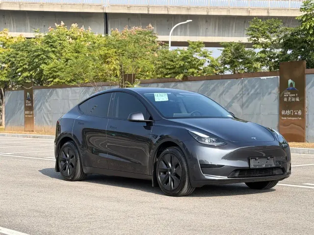 Tesla Model Y — Фото автомобиля 3