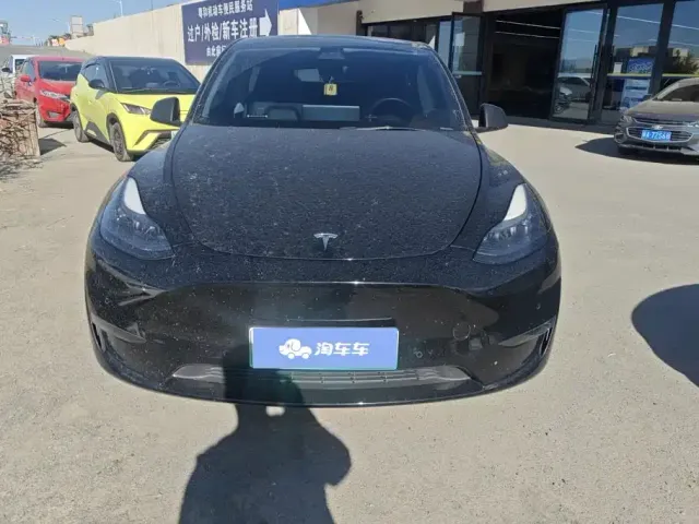 Tesla Model Y — Фото автомобиля 2