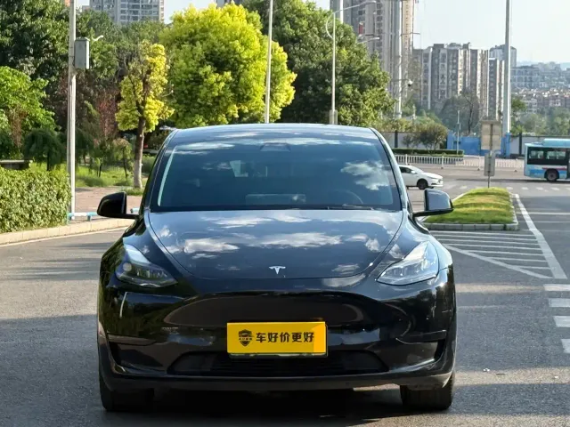 Tesla Model Y — Фото автомобиля 2
