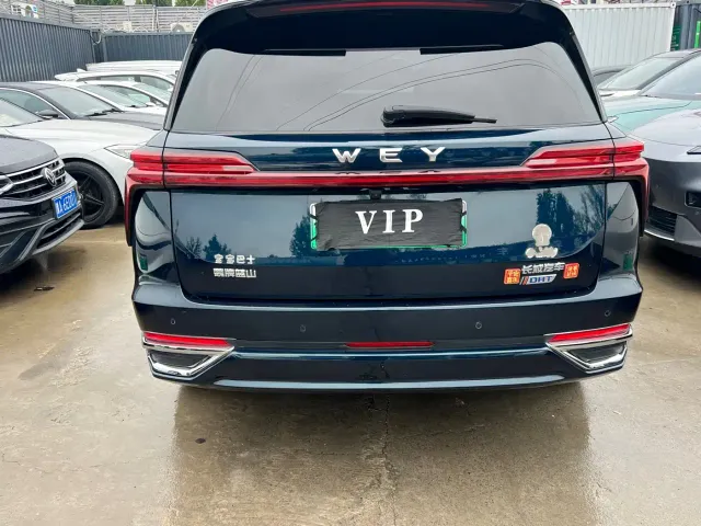 Wey Lanshan — Фото автомобиля 8