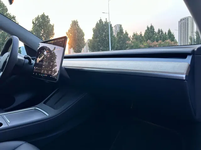 Tesla Model Y — Фото автомобиля 9