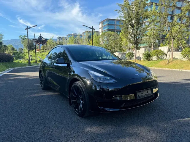 Tesla Model Y — Фото автомобиля 2