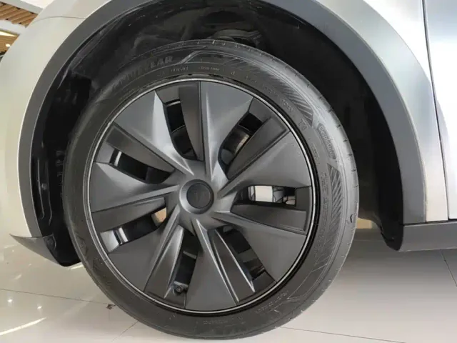 Tesla Model Y — Фото автомобиля 22