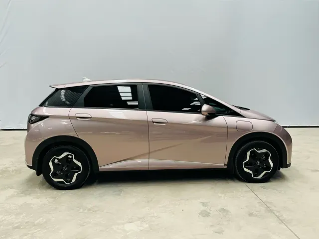 BYD Dolphin — Фото автомобиля 8