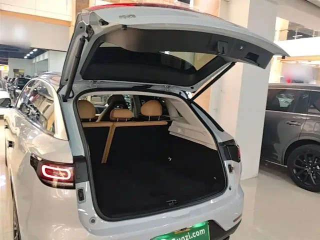 Leapmotor C11 — Фото автомобиля 18