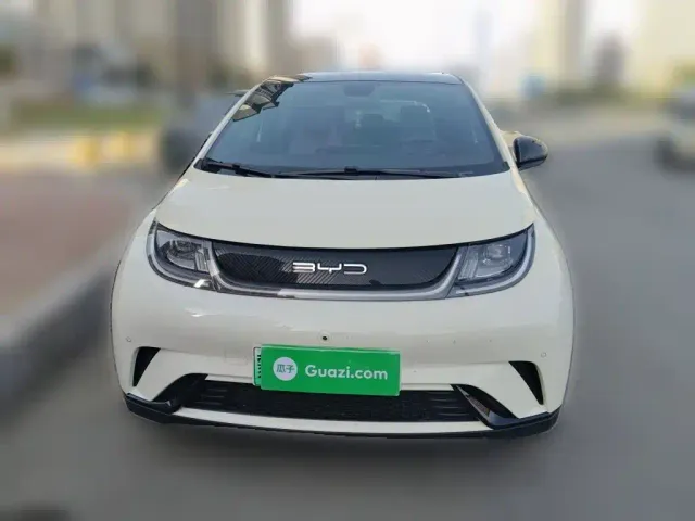 BYD Dolphin — Фото автомобиля 2