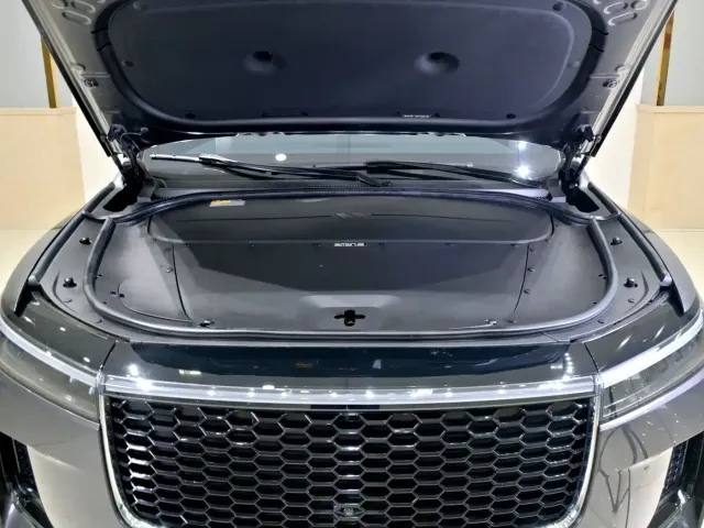 Li Auto Li ONE 2021 Extended Range 6-Seater — Фото автомобиля 24