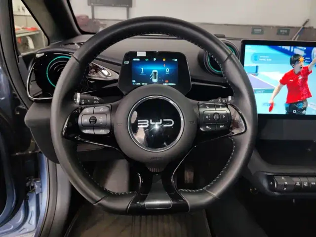 BYD Dolphin — Фото автомобиля 15