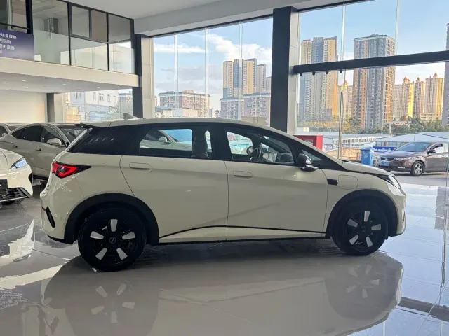 BYD Dolphin — Фото автомобиля 6