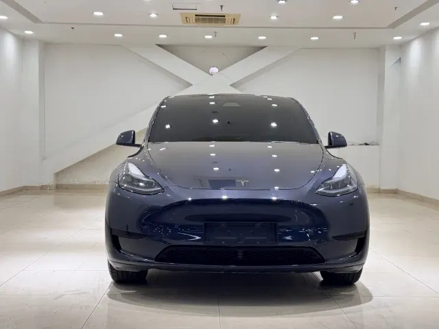 Tesla Model Y — Фото автомобиля 2