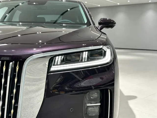 Hongqi H9 — Фото автомобиля 25