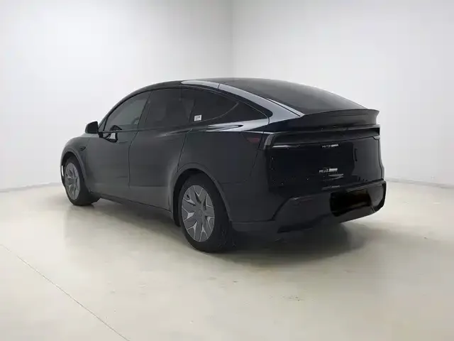 Tesla Model Y L — Фото автомобиля 8