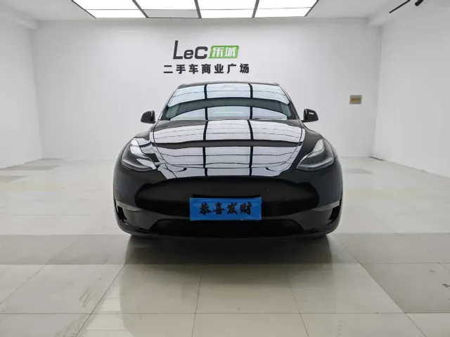 Tesla Model Y — Фото автомобиля 2