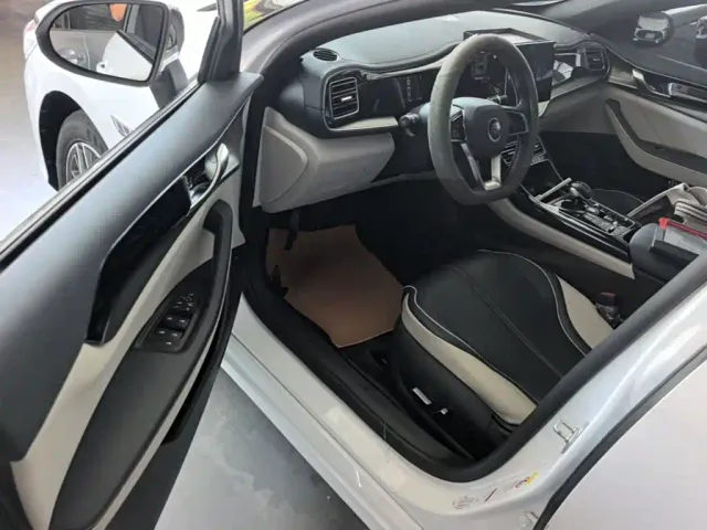 BYD Qin PLUS — Фото автомобиля 15