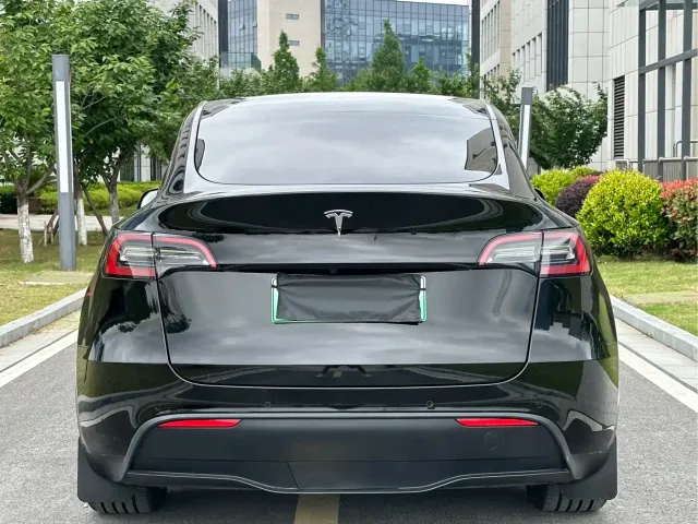 Tesla Model Y — Фото автомобиля 29