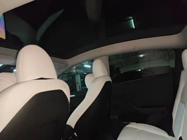 Tesla Model Y — Фото автомобиля 19