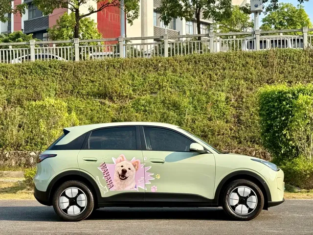 Geely Starry Wish — Фото автомобиля 4