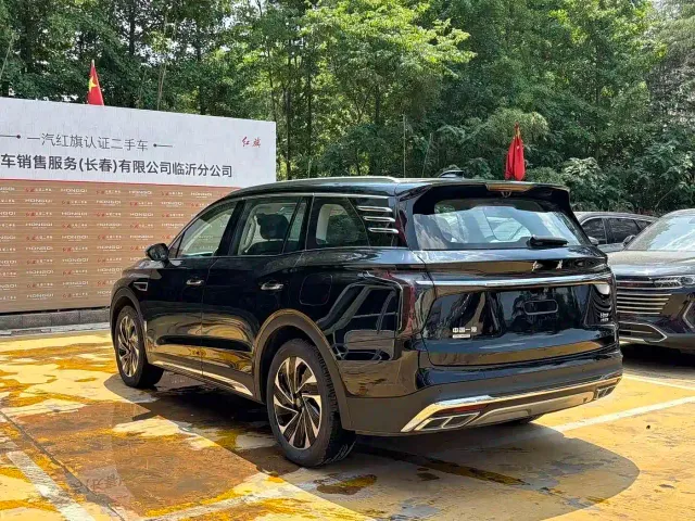 Hongqi HS7 PHEV — Фото автомобиля 13