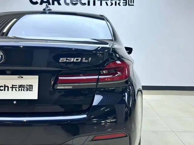 BMW 5 Series — Фото автомобиля 8