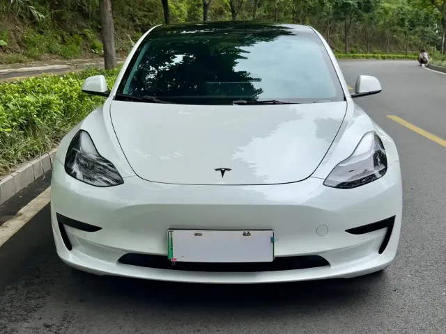 Tesla Model 3 2022 Model Rear-Wheel Drive Version — Фото автомобиля 2