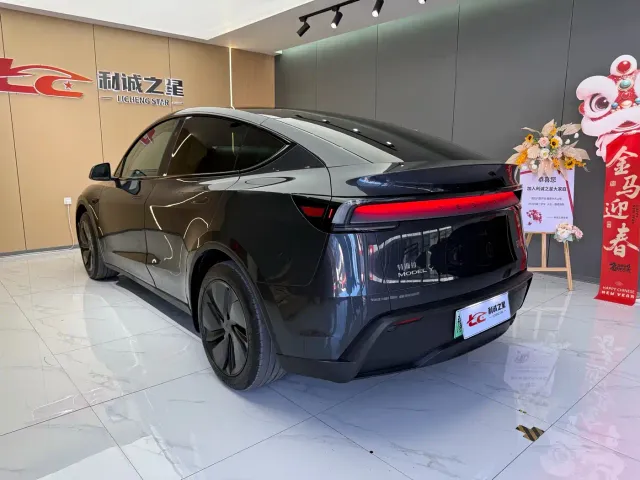 Tesla Model Y — Фото автомобиля 8