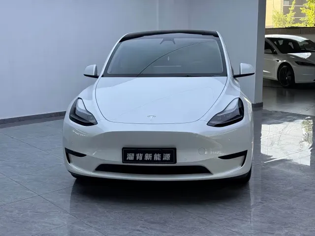 Tesla Model Y — Фото автомобиля 2