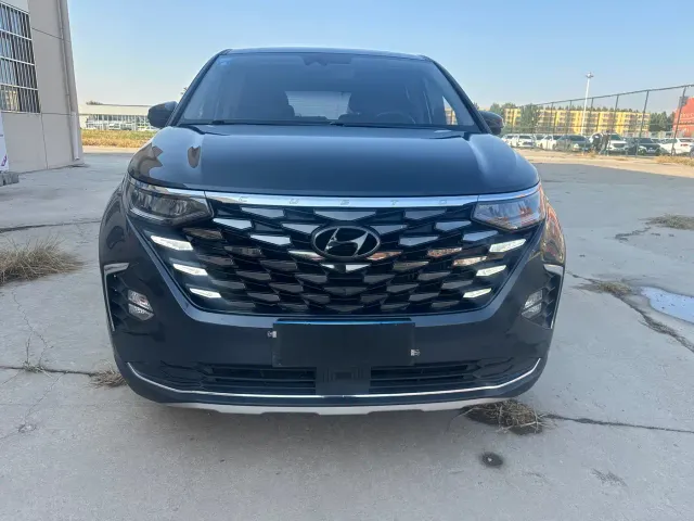 Hyundai Custo — Фото автомобиля 2
