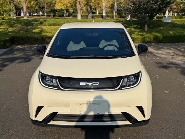 BYD Dolphin — Фото автомобиля 3
