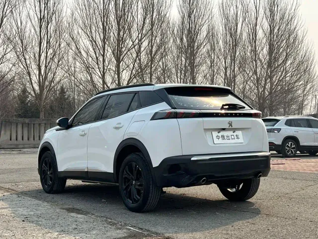 Peugeot 2008 — Фото автомобиля 6