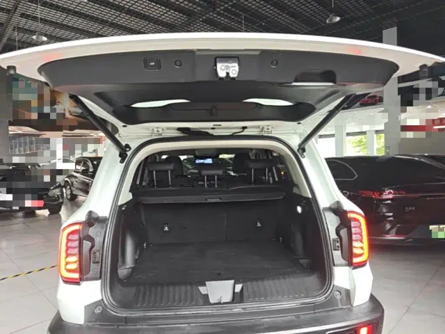 Haval Haval Big Dog 2021 1.5T DCT 2WD Border Collie Edition — Фото автомобиля 18