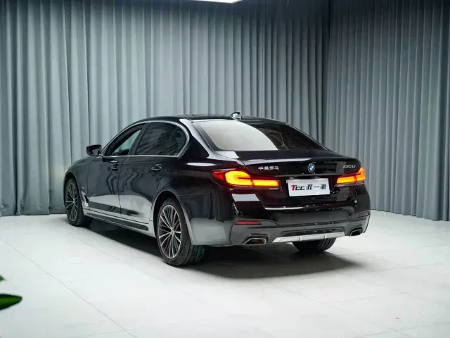 BMW 5 Series — Фото автомобиля 10