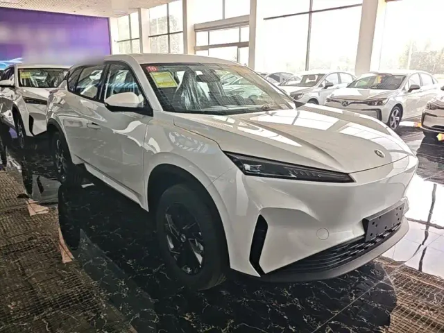 Dongfeng SKY EV01 — Фото автомобиля 21