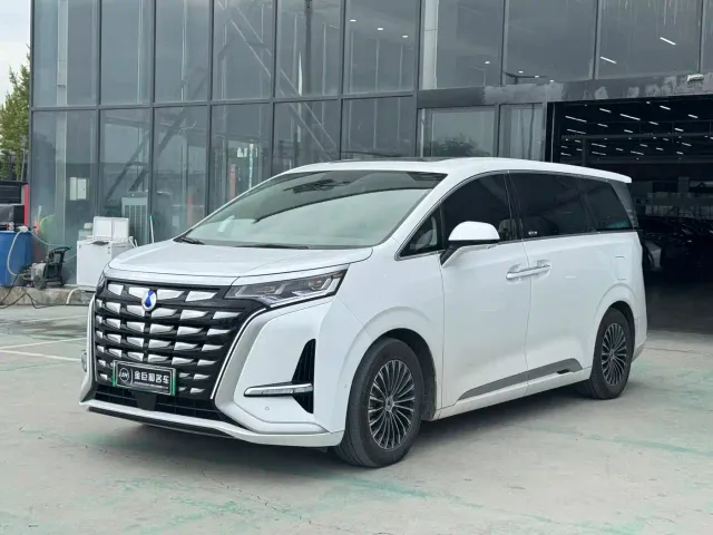 Фотография автомобиля — Denza D9