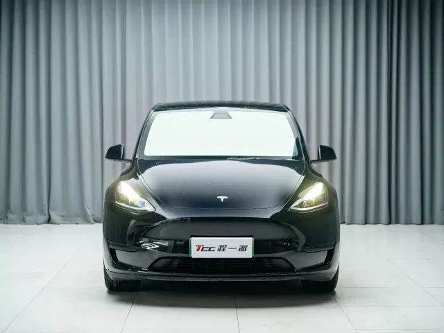 Tesla Model Y — Фото автомобиля 2