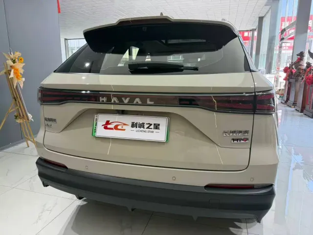 Haval Xiaolong MAX — Фото автомобиля 11