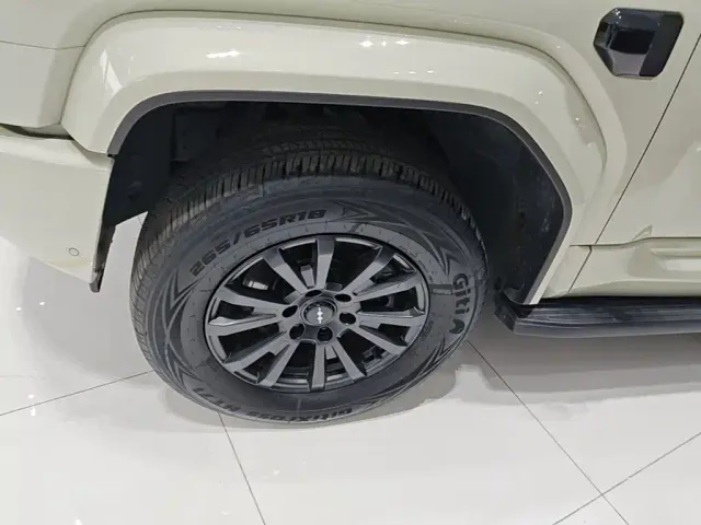 BYD FangChengBao Leopard 5 — Фото автомобиля 22