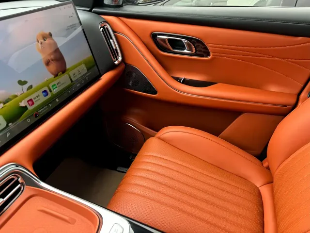 Geely Galaxy M9 — Фото автомобиля 8