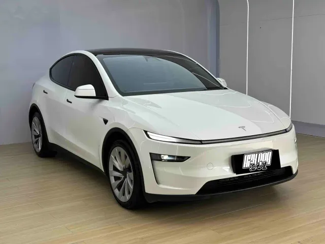 Tesla Model Y — Фото автомобиля 3