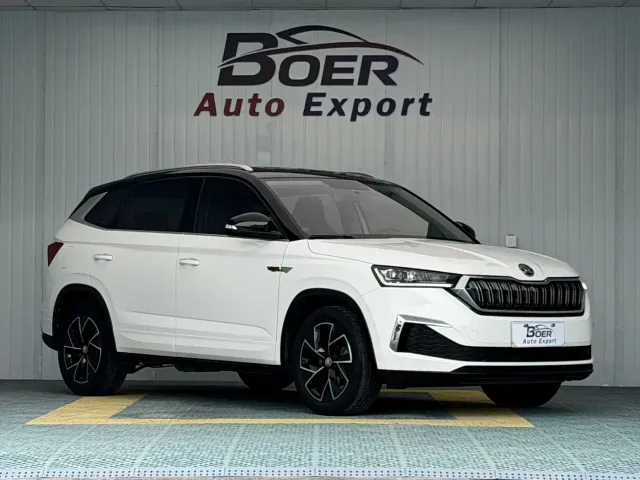 Skoda Kamiq — Фото автомобиля 3
