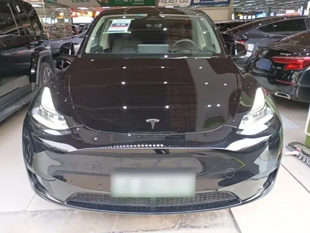 Tesla Model Y — Фото автомобиля 2