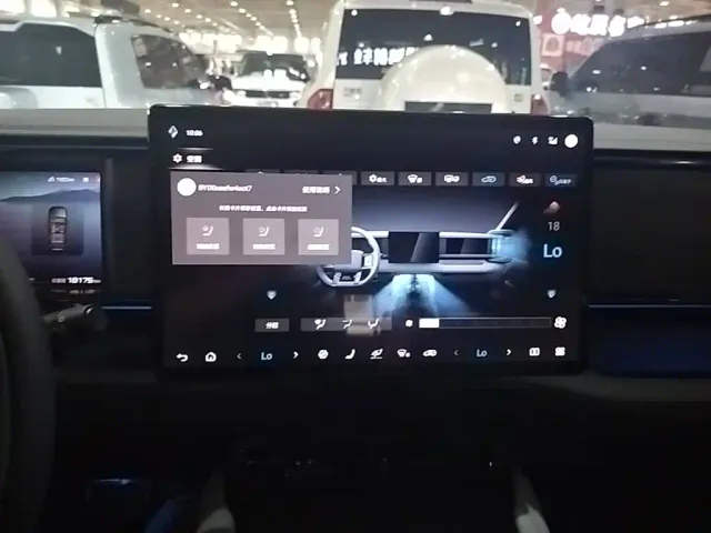 BYD FangChengBao Leopard 5 — Фото автомобиля 12