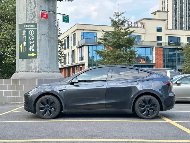 Tesla Model Y — Фото автомобиля 4