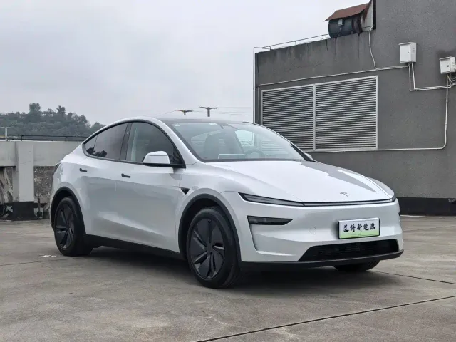 Tesla Model Y — Фото автомобиля 2