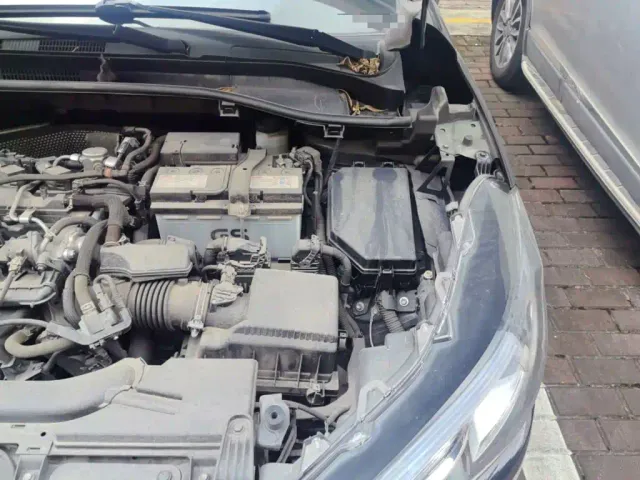 Toyota Corolla Cross 2022 2.0L Elite Edition — Фото автомобиля 19