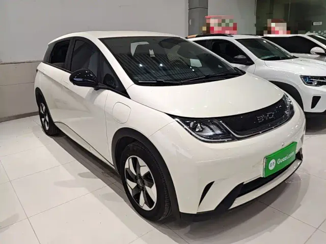 BYD Dolphin — Фото автомобиля 21
