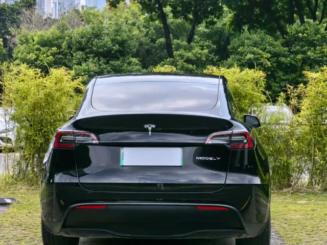 Tesla Model Y — Фото автомобиля 10